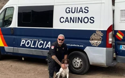 Rony, el perro policía condecorado por localizar a dos personas desaparecidas en Canarias